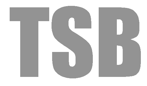 Technischer Support Br&uuml;gge